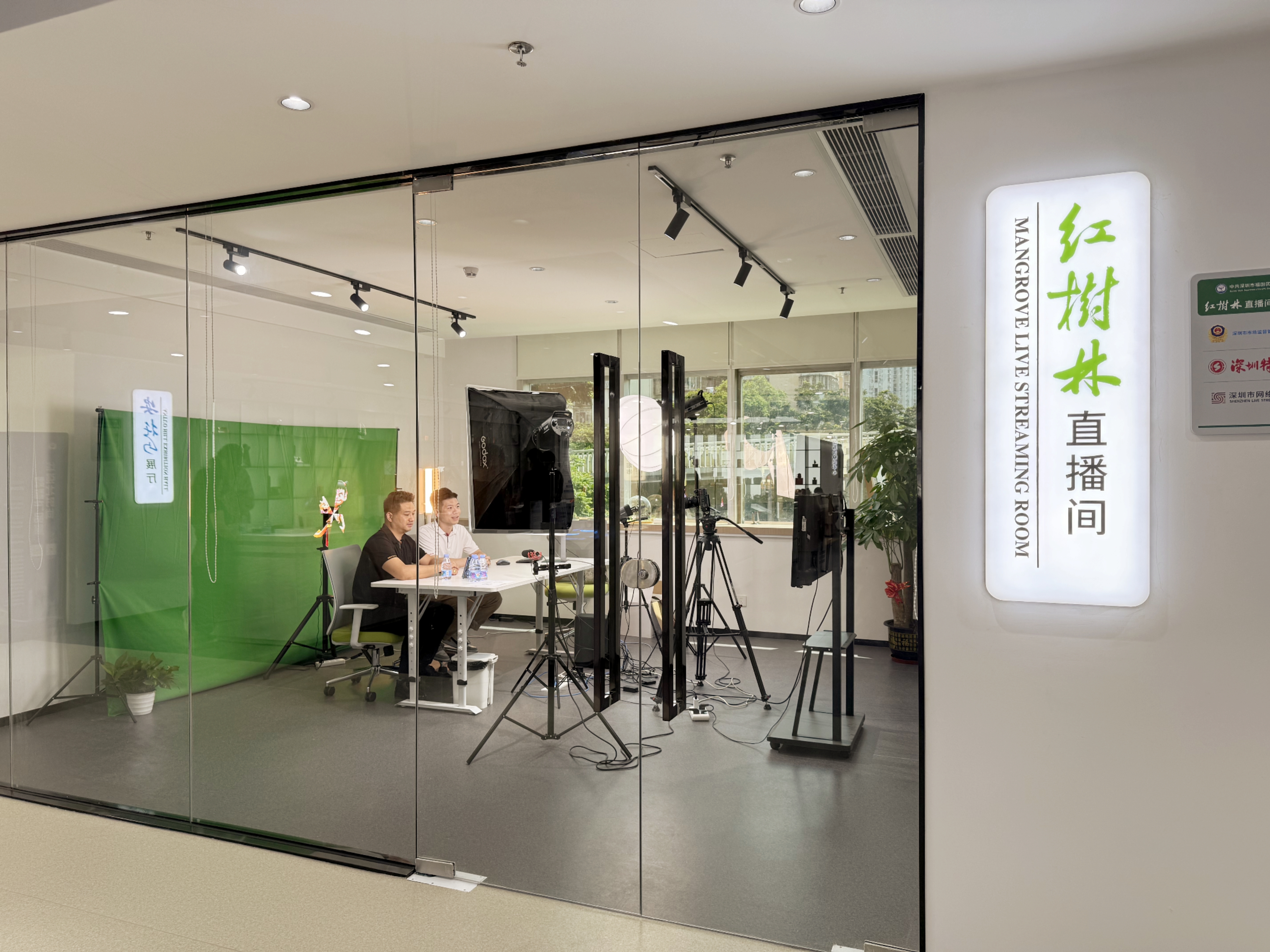 红树林直播间.jpg