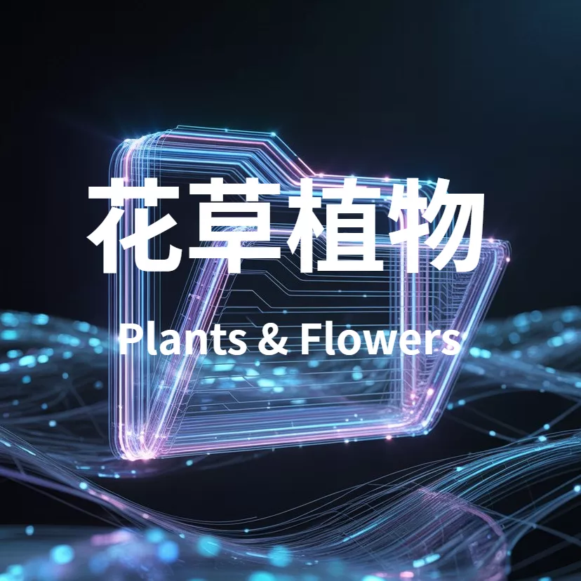 点击查看